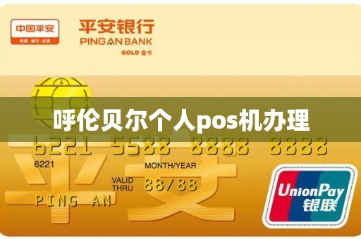呼伦贝尔个人pos机办理