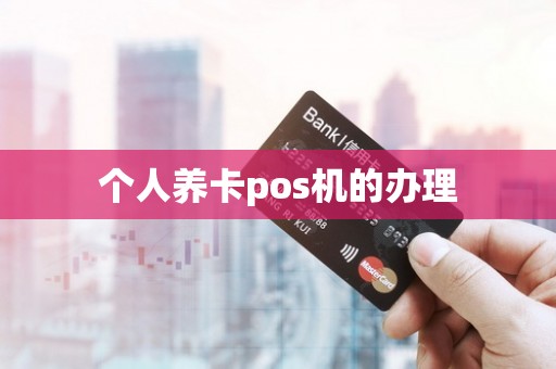 个人养卡pos机的办理