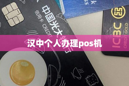 汉中个人办理pos机