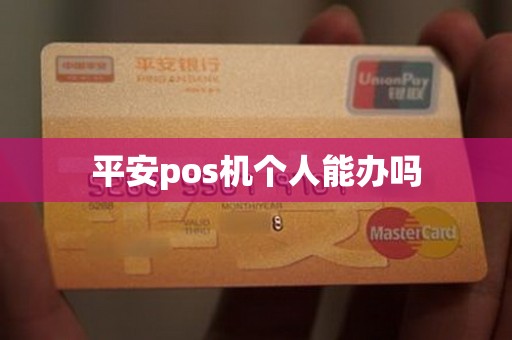 平安pos机个人能办吗