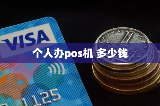 个人办pos机 多少钱