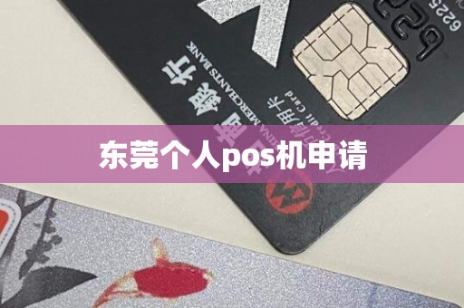 东莞个人pos机申请