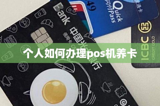 个人如何办理pos机养卡
