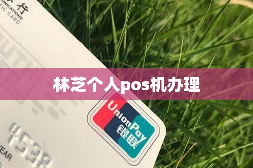 林芝个人pos机办理