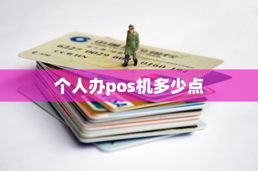 个人办pos机多少点