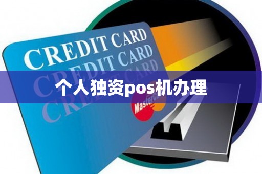 个人独资pos机办理