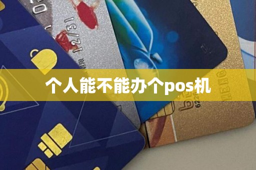 个人能不能办个pos机