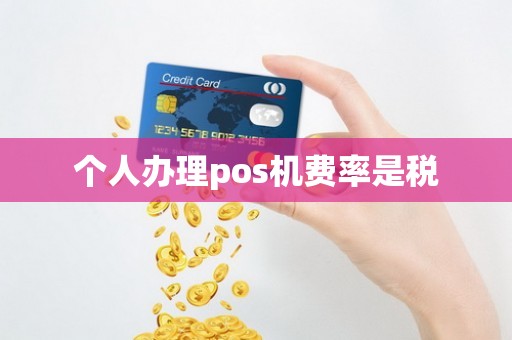 个人办理pos机费率是税
