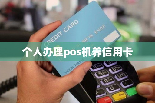 个人办理pos机养信用卡