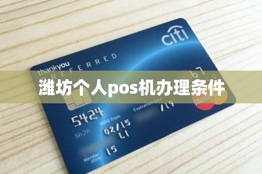 潍坊个人pos机办理条件