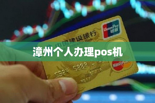 漳州个人办理pos机