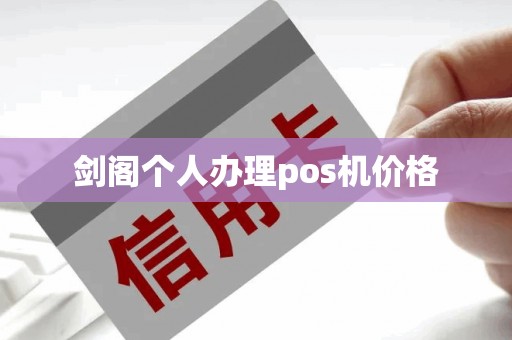 剑阁个人办理pos机价格