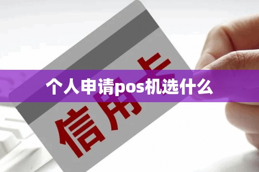 个人申请pos机选什么