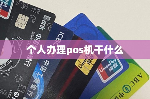 个人办理pos机干什么