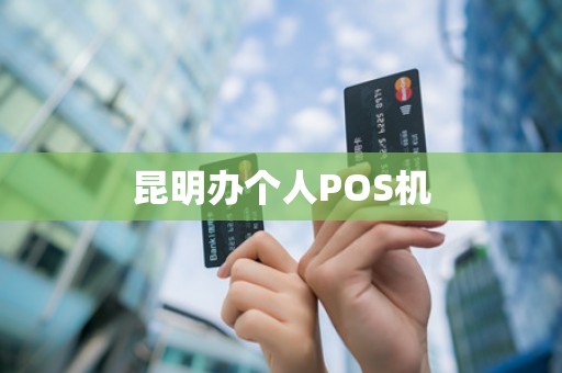 昆明办个人POS机