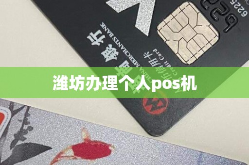 潍坊办理个人pos机