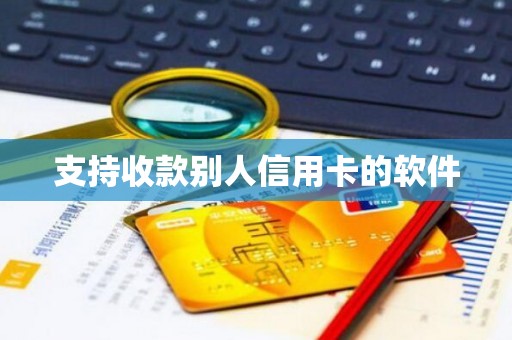 支持收款别人信用卡的软件