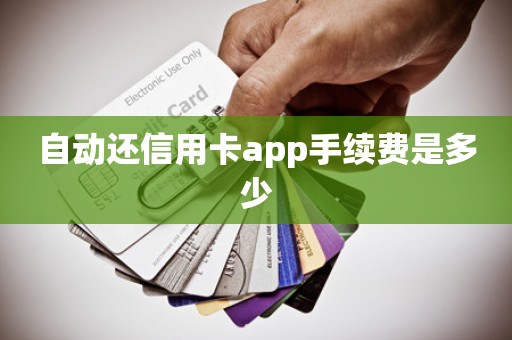 自动还信用卡app手续费是多少