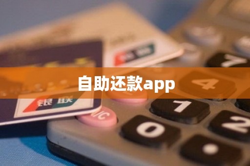 自助还款app