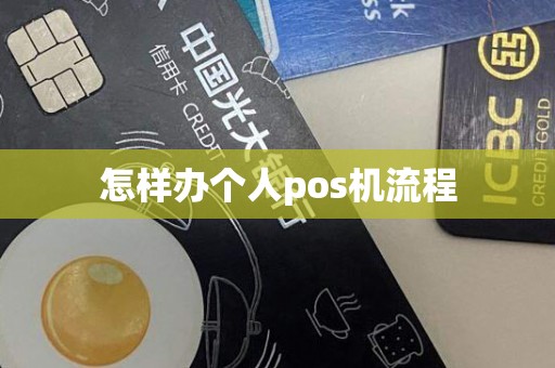 怎样办个人pos机流程