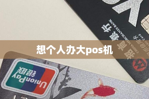 想个人办大pos机