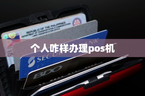 个人咋样办理pos机