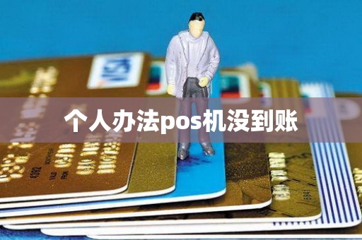 个人办法pos机没到账