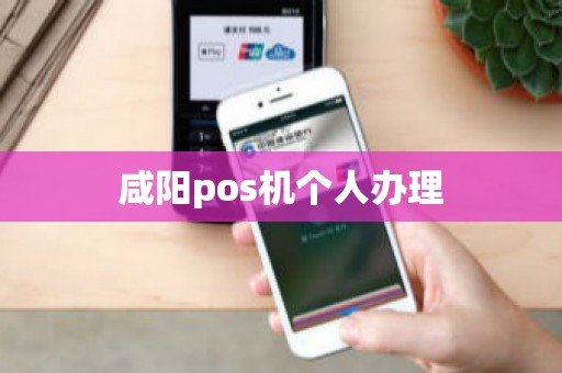 咸阳pos机个人办理