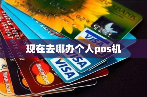 现在去哪办个人pos机