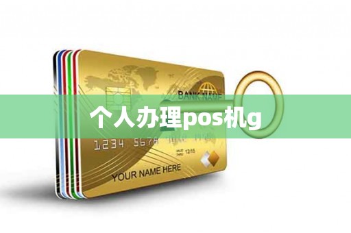 个人办理pos机g