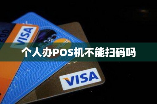 个人办POS机不能扫码吗