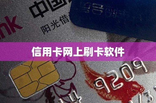 信用卡网上刷卡软件