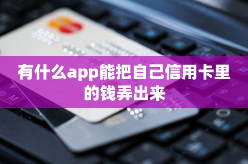 有什么app能把自己信用卡里的钱弄出来