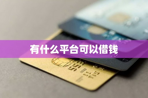 有什么平台可以借钱