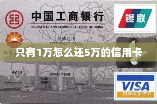 只有1万怎么还5万的信用卡