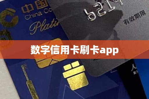 数字信用卡刷卡app