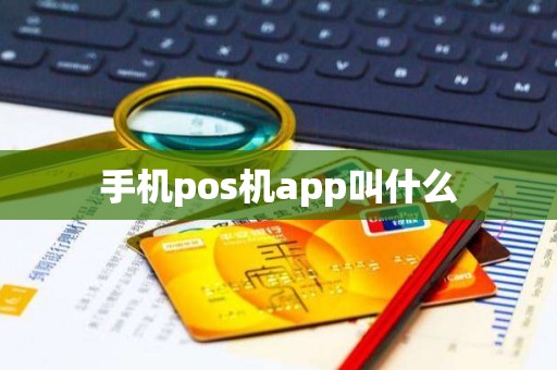 手机pos机app叫什么