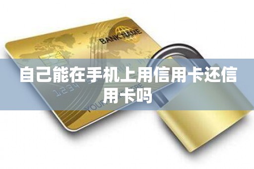自己能在手机上用信用卡还信用卡吗