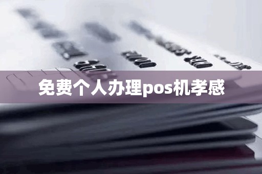 免费个人办理pos机孝感