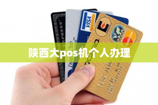 陕西大pos机个人办理