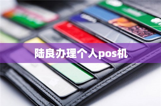 陆良办理个人pos机