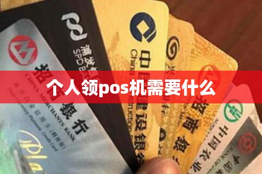 个人领pos机需要什么