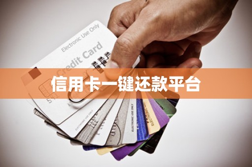 信用卡一键还款平台