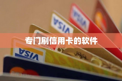 专门刷信用卡的软件