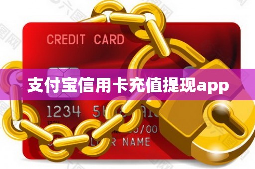 支付宝信用卡充值提现app